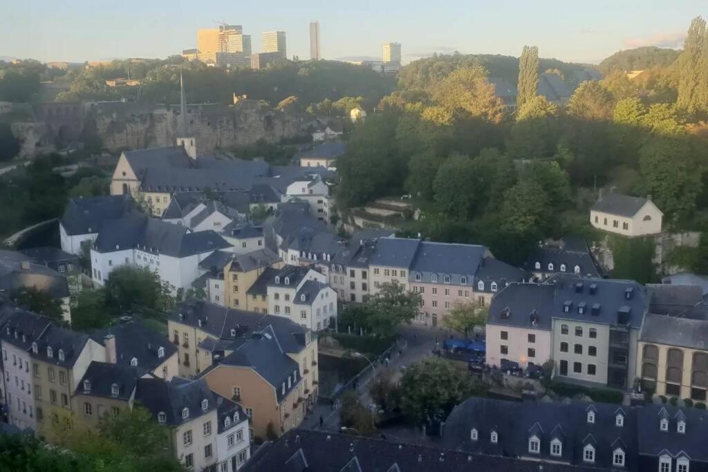 Large Family Retro Flat In City Center- Large Terrace & Garden View, Free Parking Luxemburg Kültér fotó